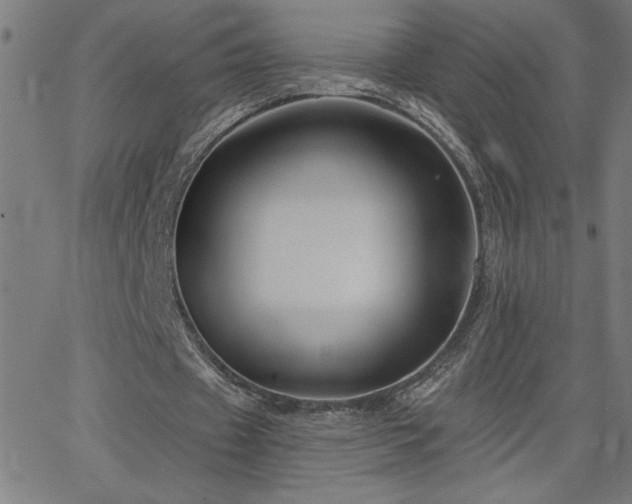 X0000068720433200604281117