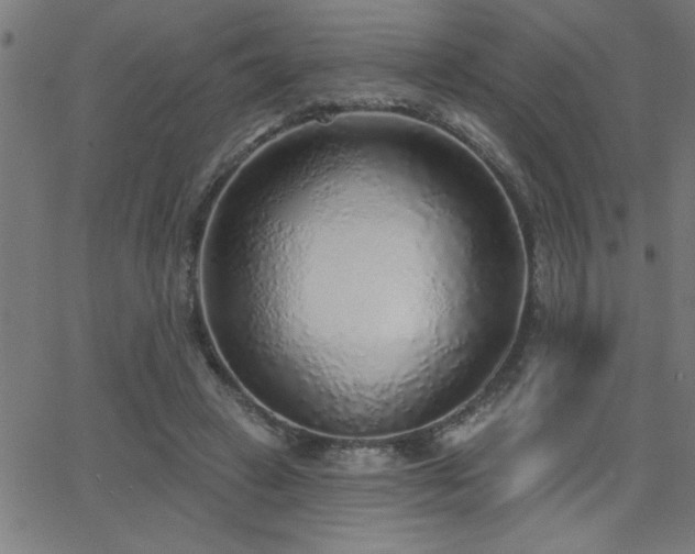 X0000068720449200604281117