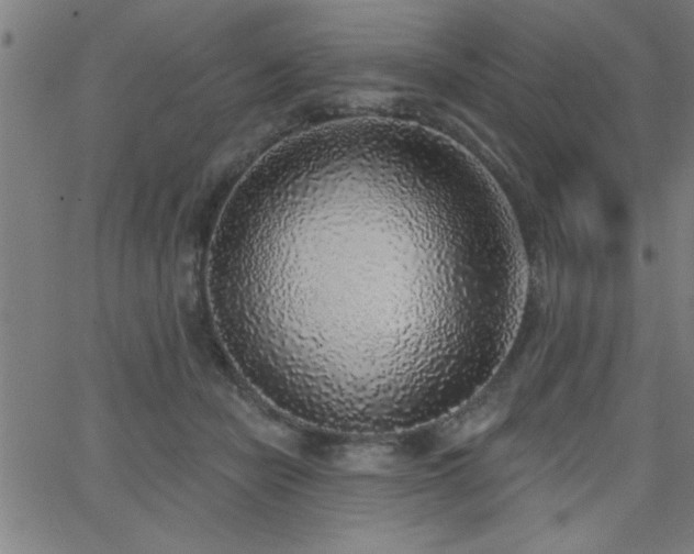 X0000068720462200604281118