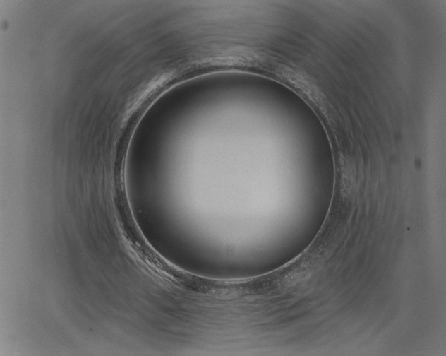 X0000068720482200604281117