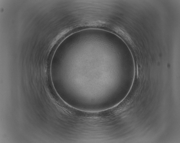 X0000068720483200604281117