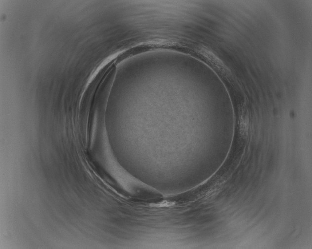 X0000068720484200604281117