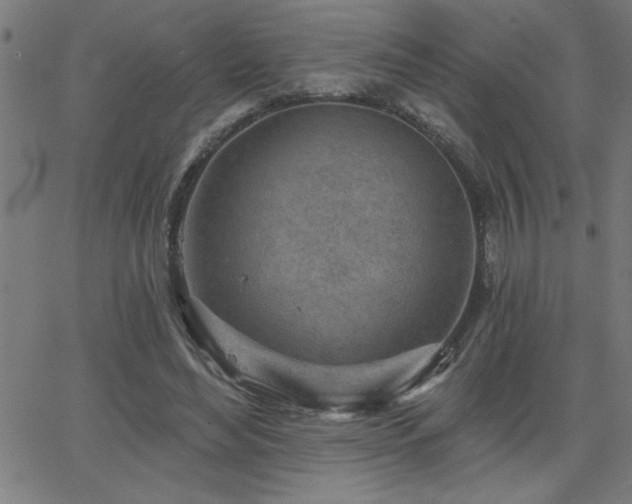 X0000068720492200604281117