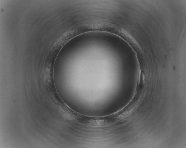 X0000068720497200604281117