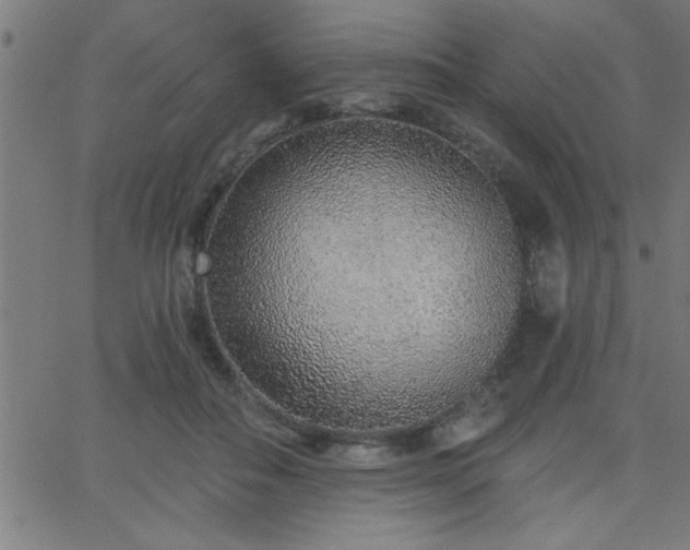 X0000068720506200604281117