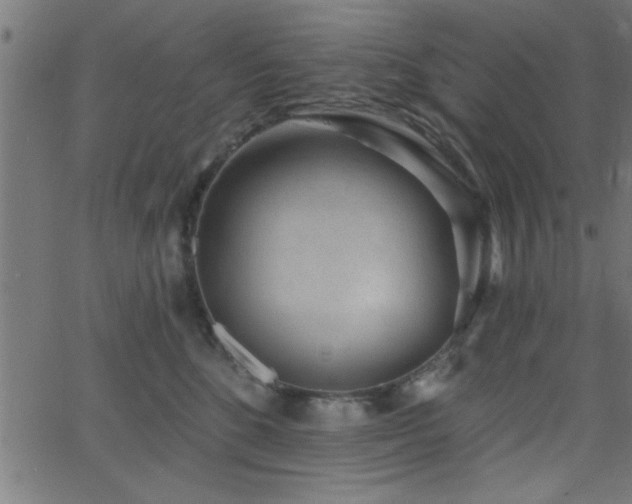 X0000068720520200604281116