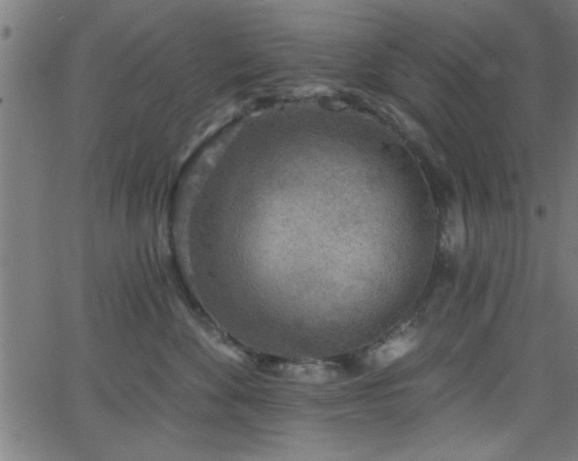 X0000068720524200604281116