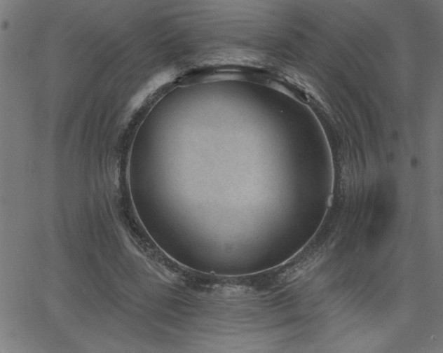 X0000068720539200604281116