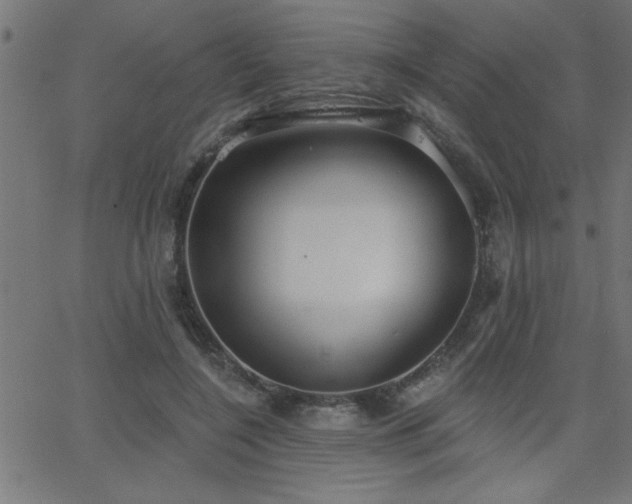 X0000068720548200604281116