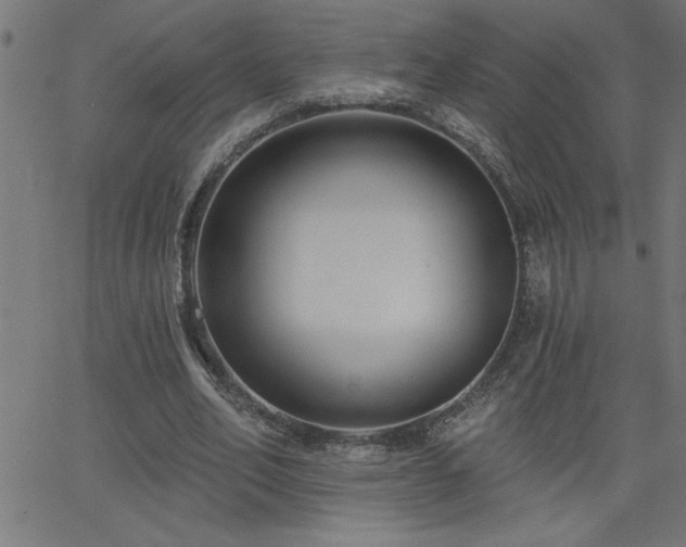 X0000068720582200604281115