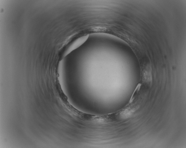 X0000068720620200604281115