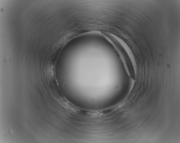 X0000068720621200604281115