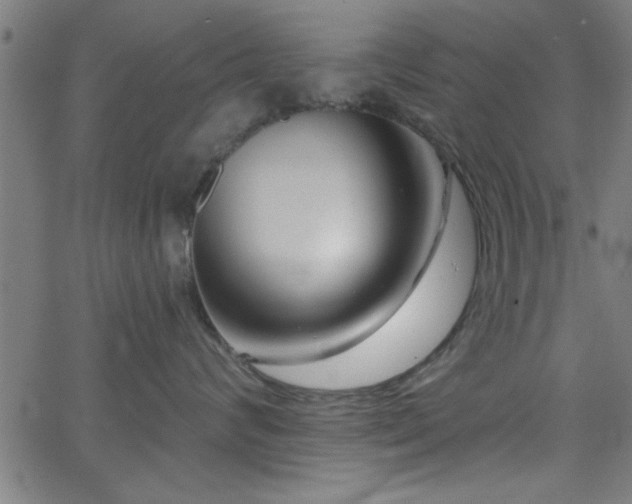 X0000068720624200604281115