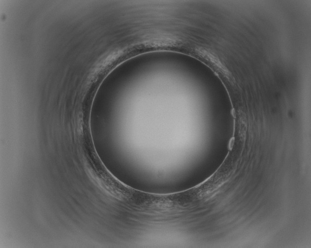 X0000068720631200604281114