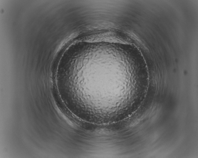 X0000068720634200604281114