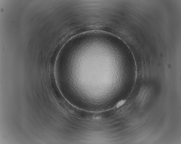 X0000068720647200604281114