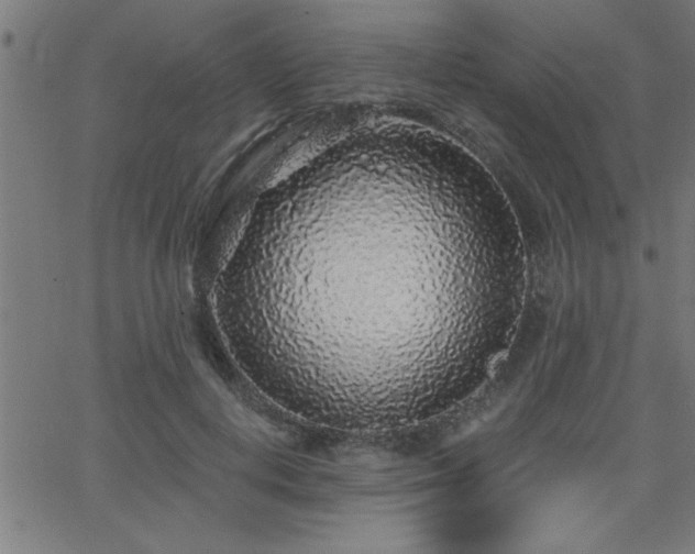 X0000068720648200604281114