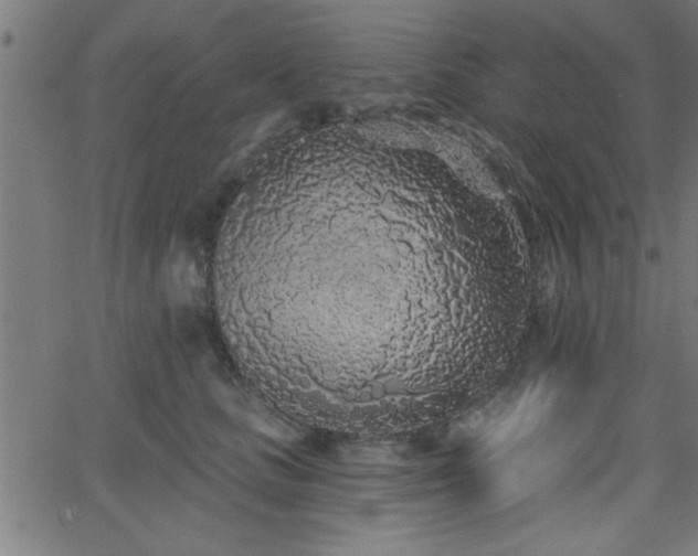 X0000068720661200604281114