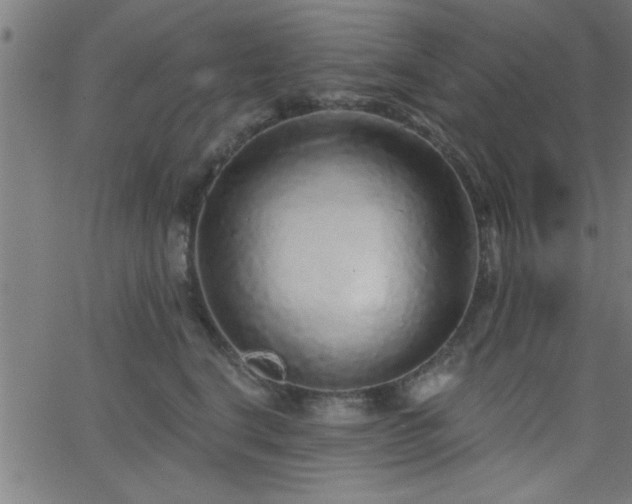 X0000068720664200604281114