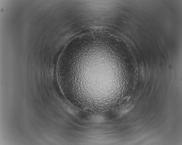 X0000068720668200604281114