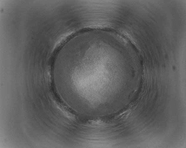 X0000068720688200604281114
