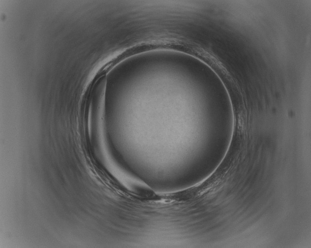 X0000068720724200604281112