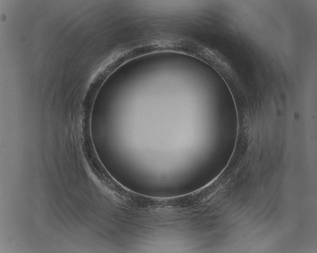 X0000068720730200604281112