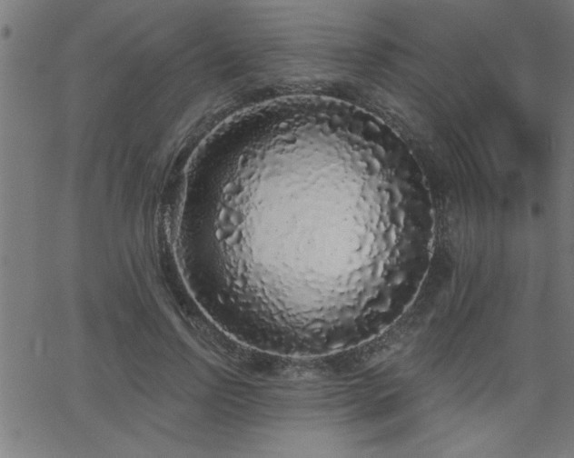 X0000068720742200604281113