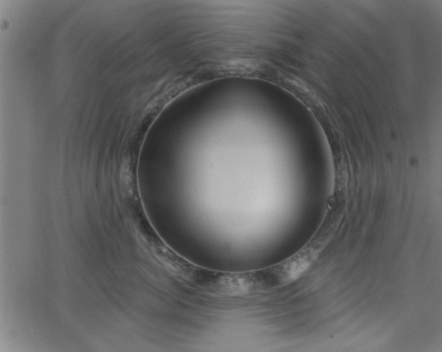 X0000068720764200604281113