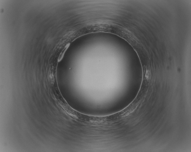 X0000068720771200604281112