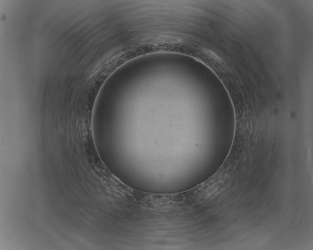 X0000068720774200604281112