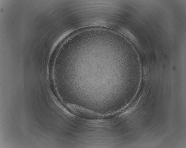 X0000068720780200604281112