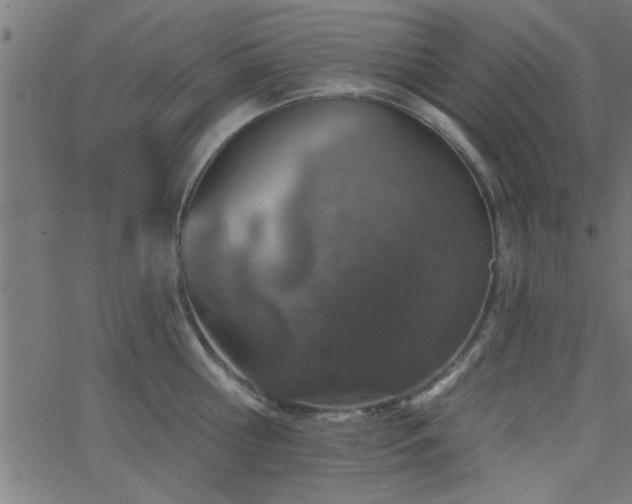 X0000068720810200604281112