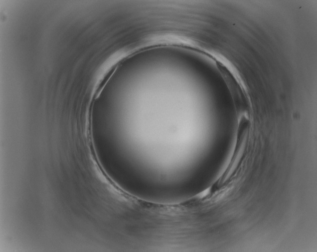 X0000068720815200604281111