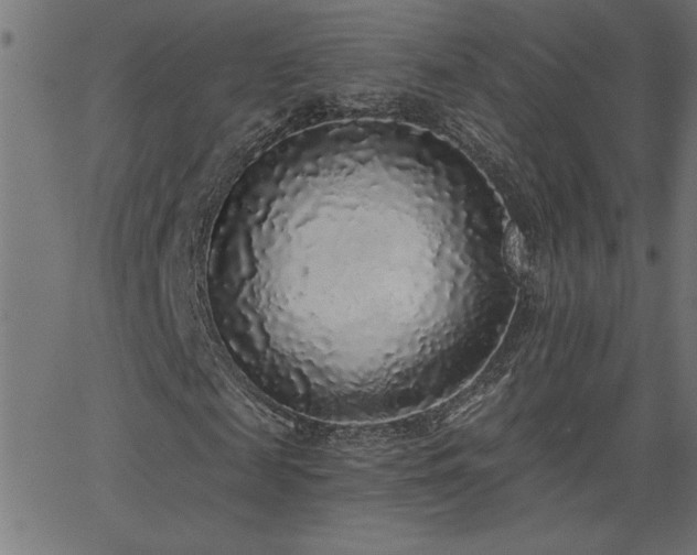 X0000068720817200604281111