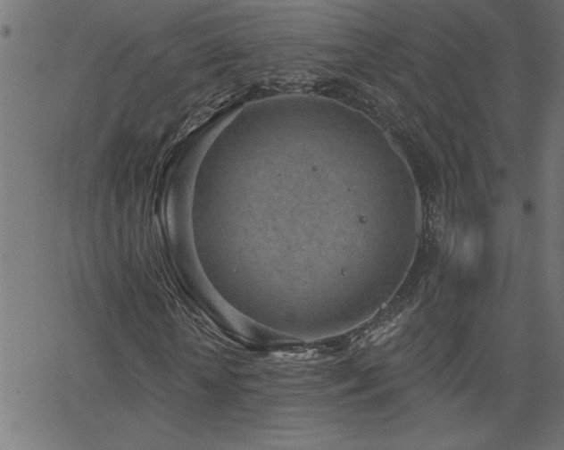 X0000068720818200604281111