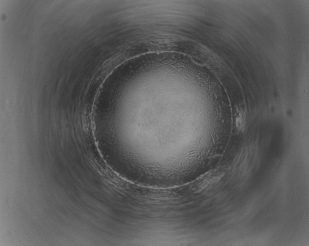 X0000068720819200604281111