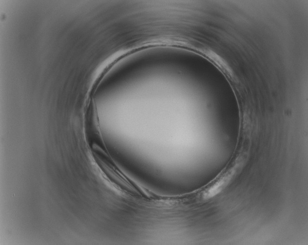 X0000068720854200604281111