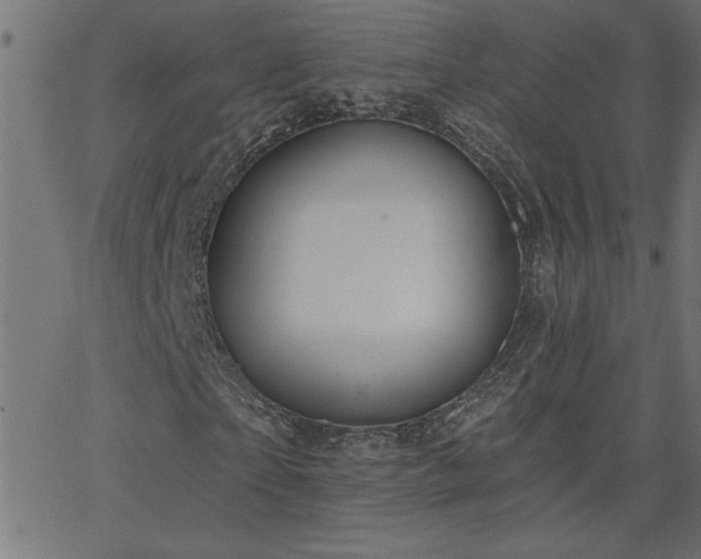 X0000068720865200604281111