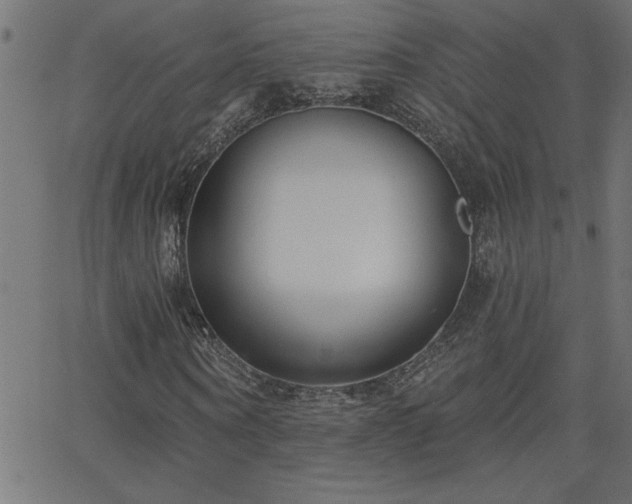 X0000068720866200604281111