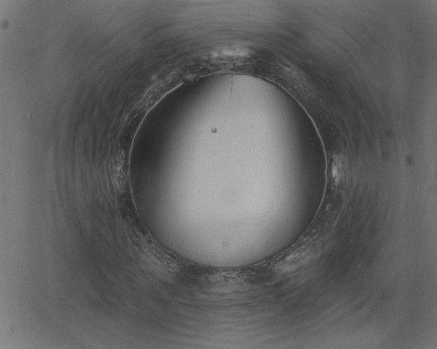X0000068720867200604281111