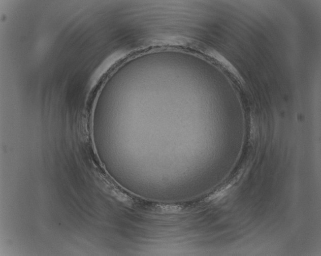 X0000068720878200604281110