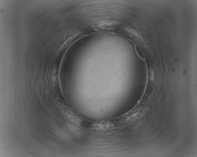 X0000068720915200604281109
