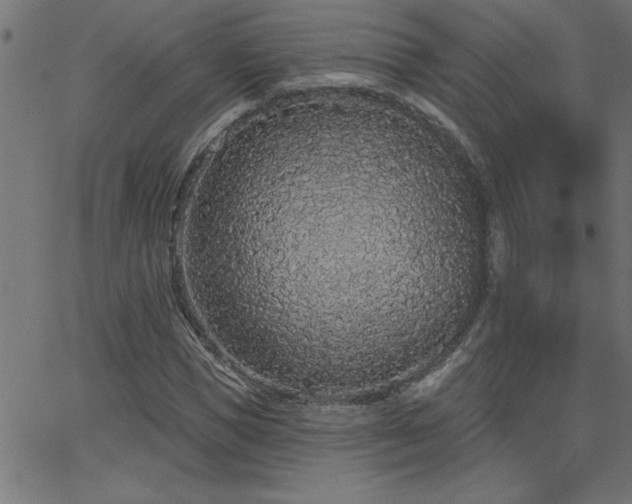 X0000068720921200604281109
