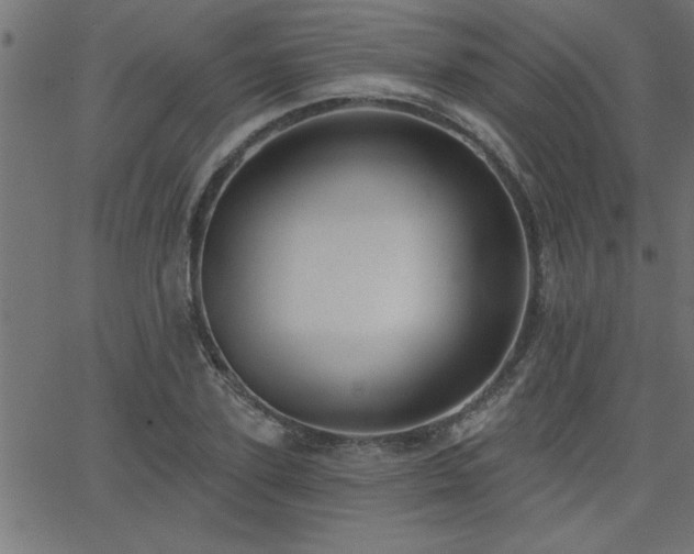 X0000068720931200604281109