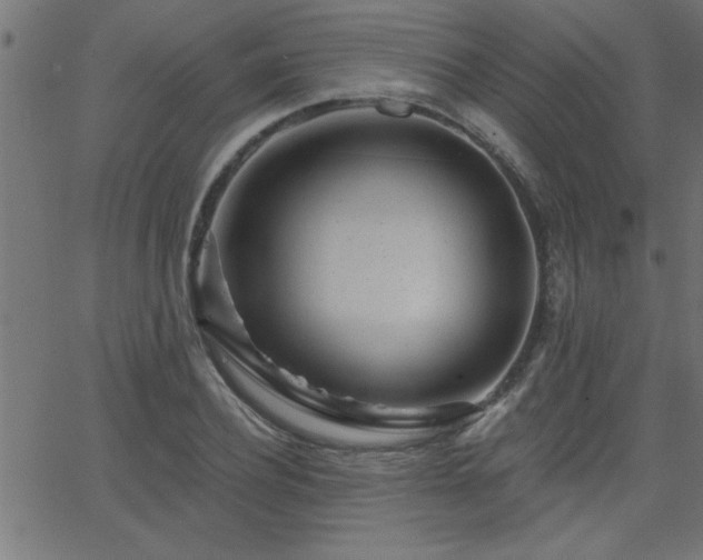 X0000068720932200604281109