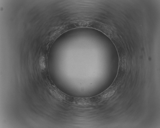 X0000068720962200604281109