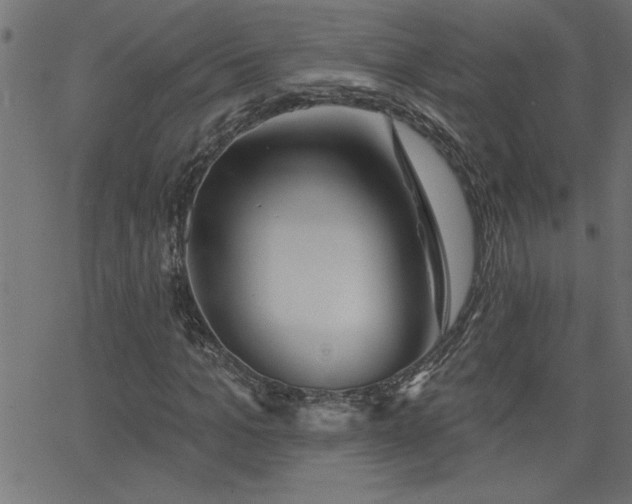 X0000068720965200604281109