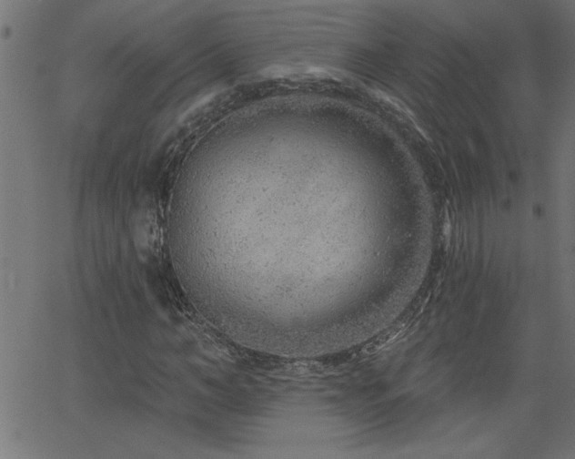 X0000068720966200604281109