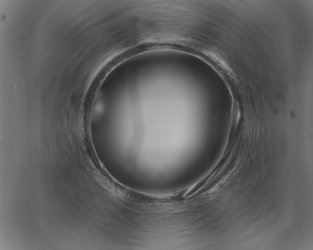X0000068720976200604281109